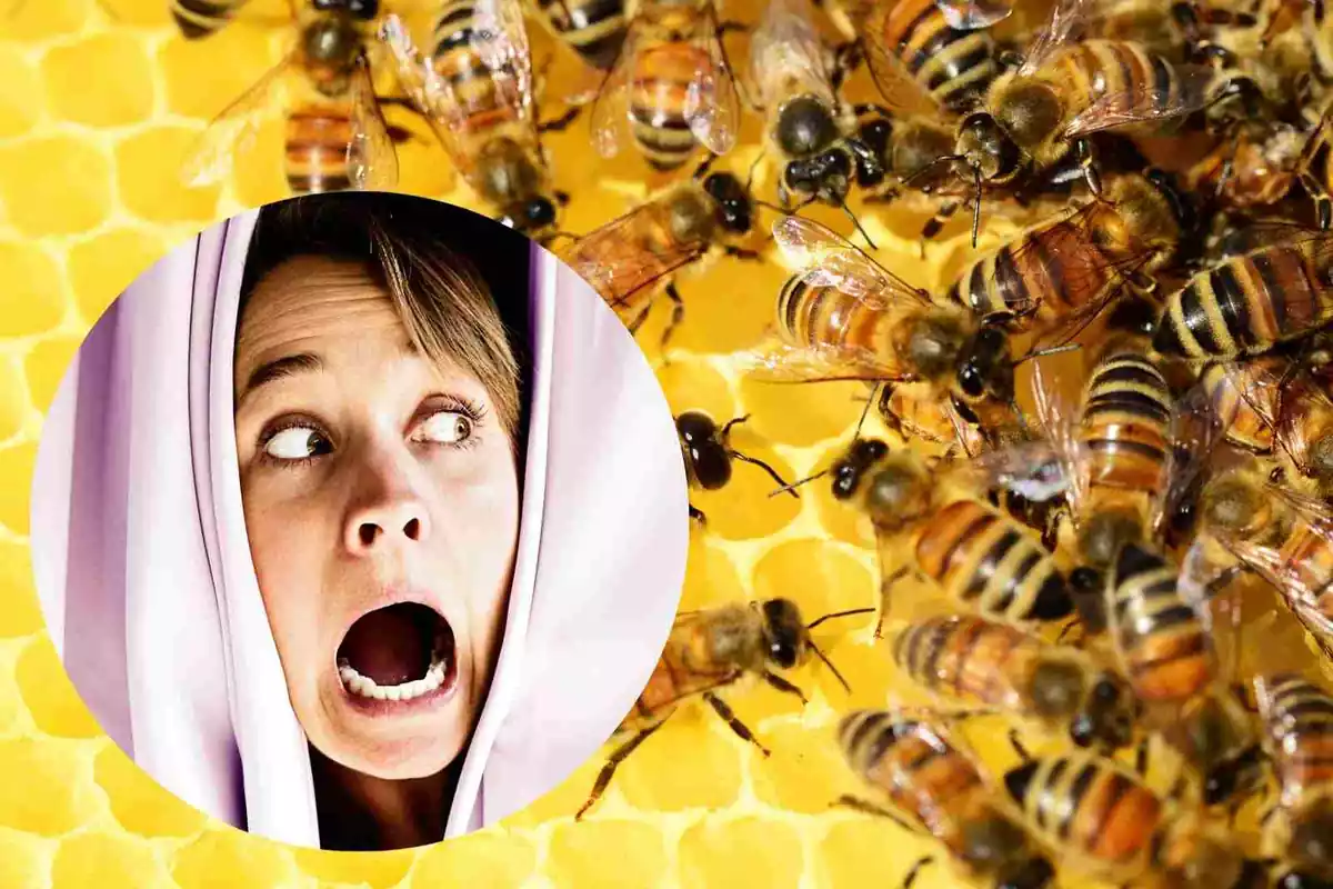 Fotomuntatge d'una dona espantada amb una bresca d'abelles