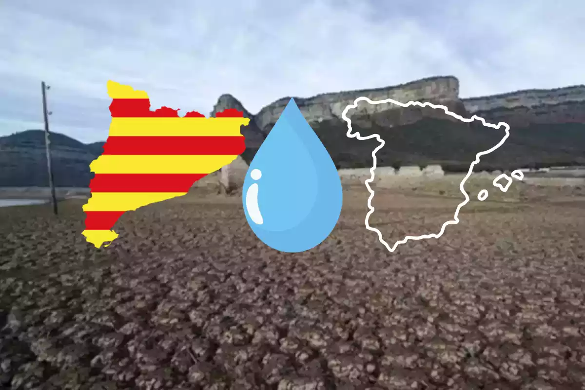 La situació a Catalunya i Espanya no podria ser més diferent