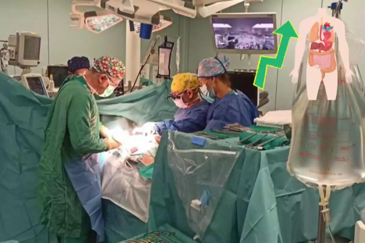 Cirurgians treballant en un quiròfan