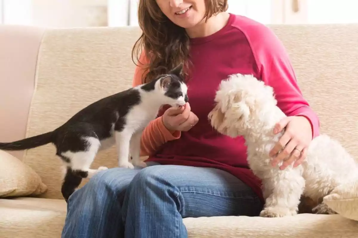 Una dona amb un gat i un gos
