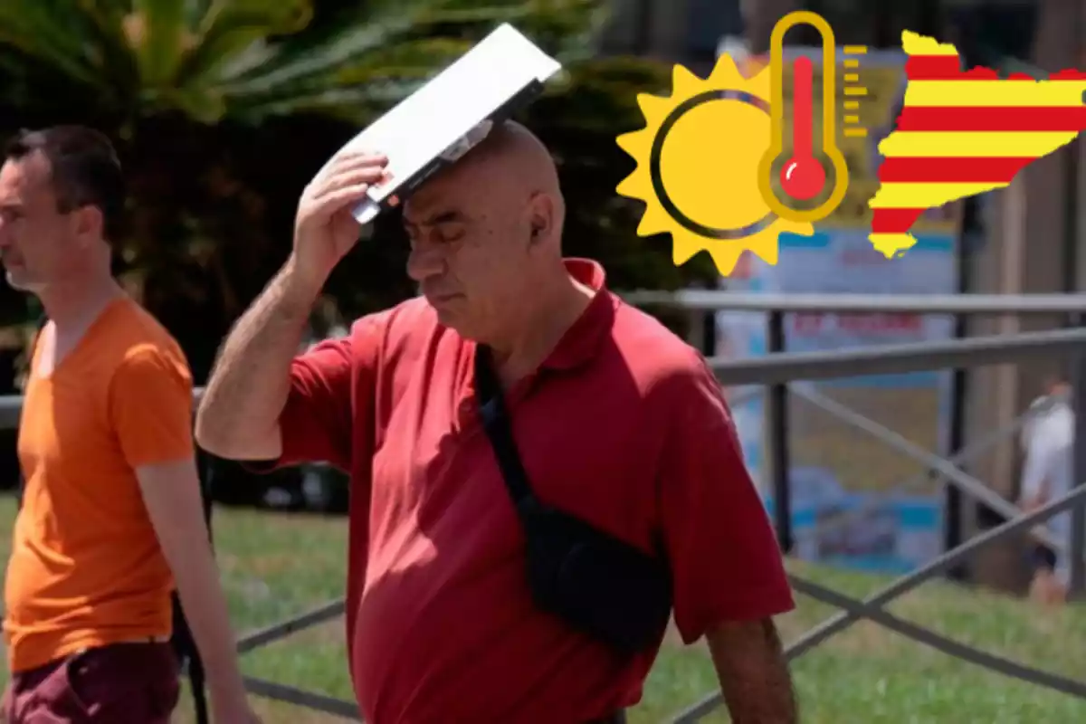 Un home fa servir un llibre per protegir-se del sol