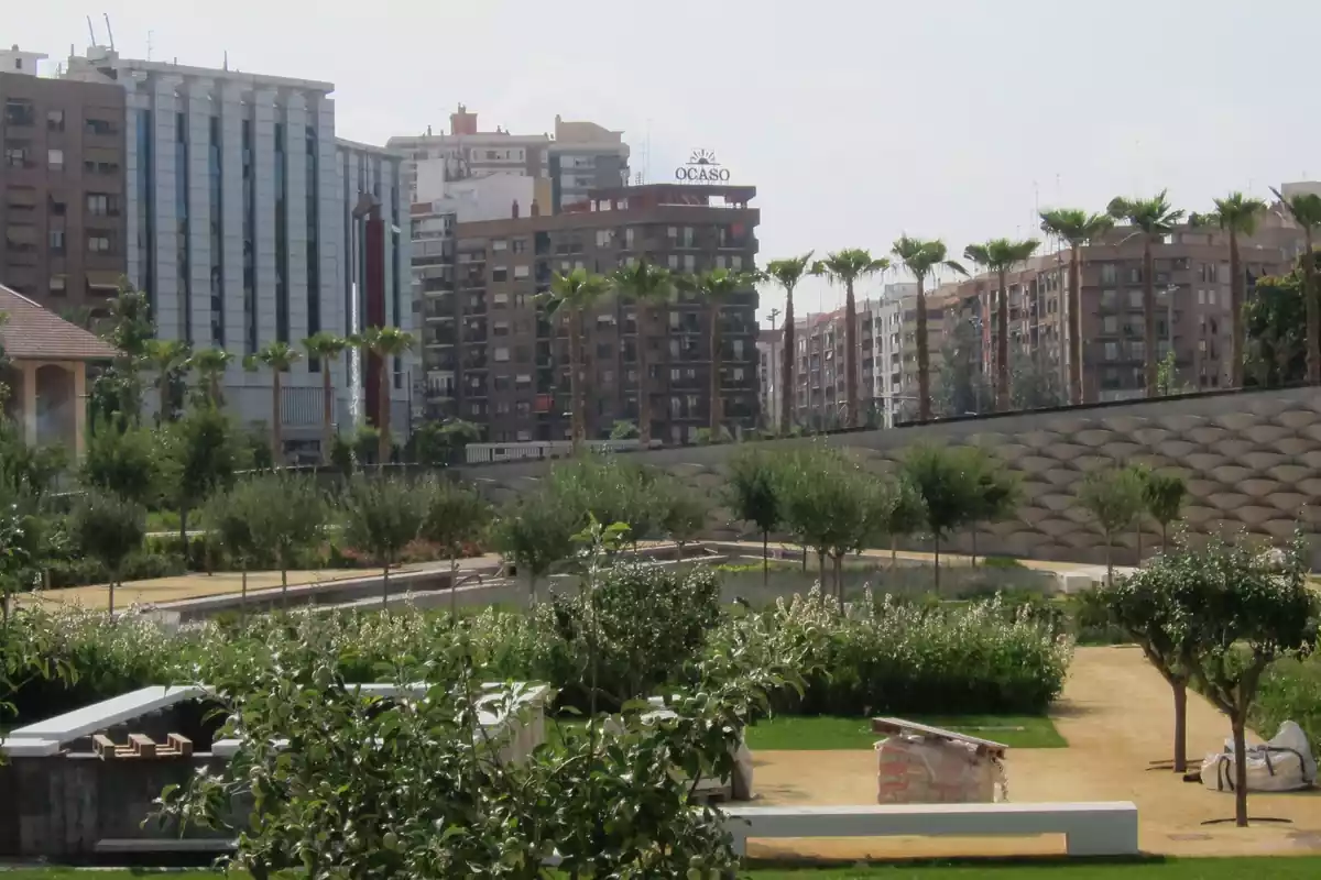 El Parc Central de València, en arxiu