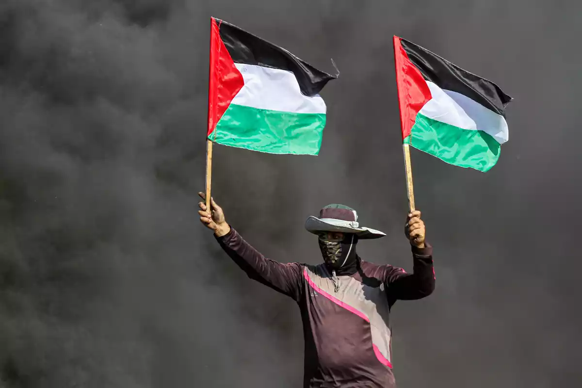 Imatge d'arxiu de palestins onejant la bandera de Palestina durant una protesta