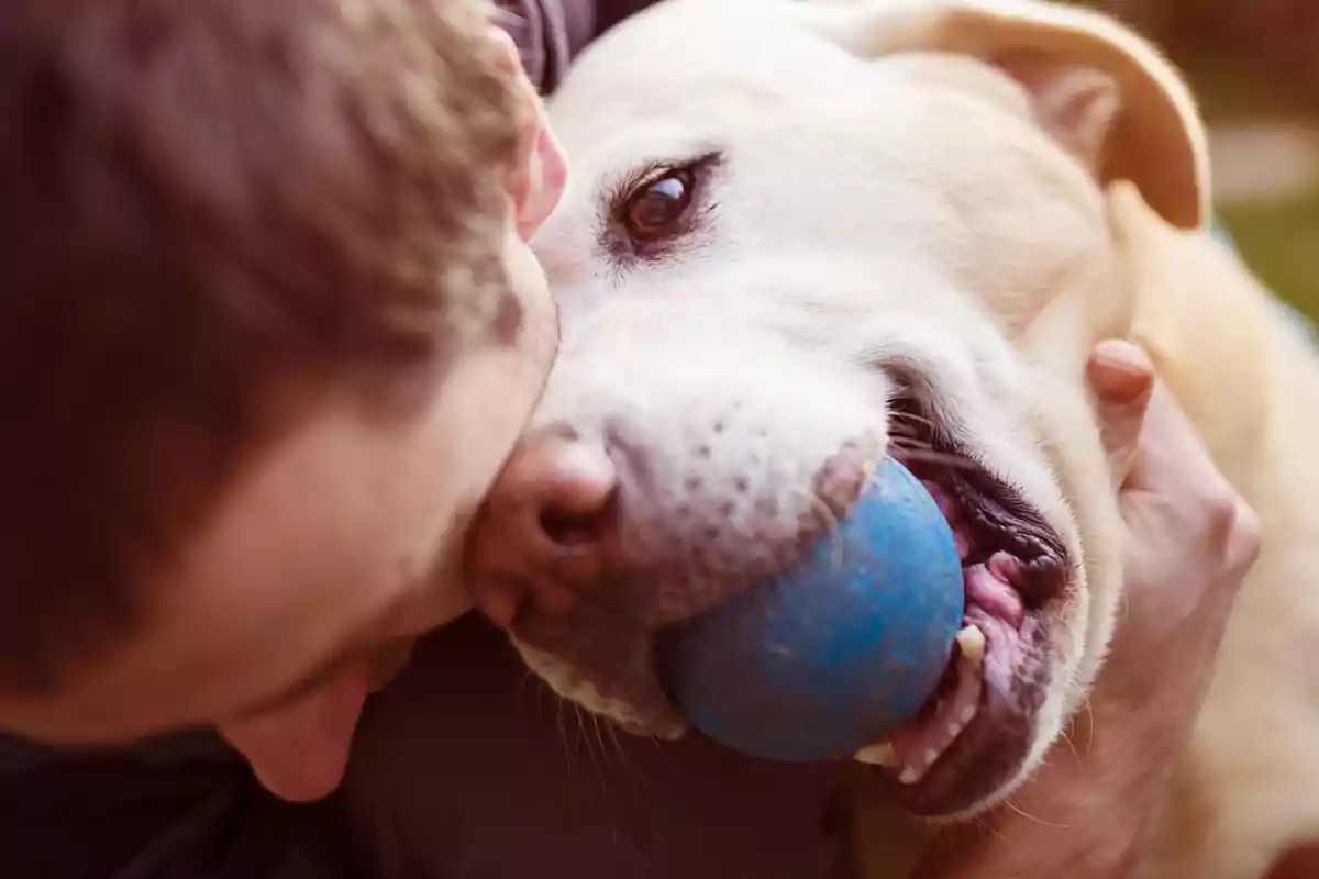 Un home abraçant un gos que sosté una pilota blava a la boca.