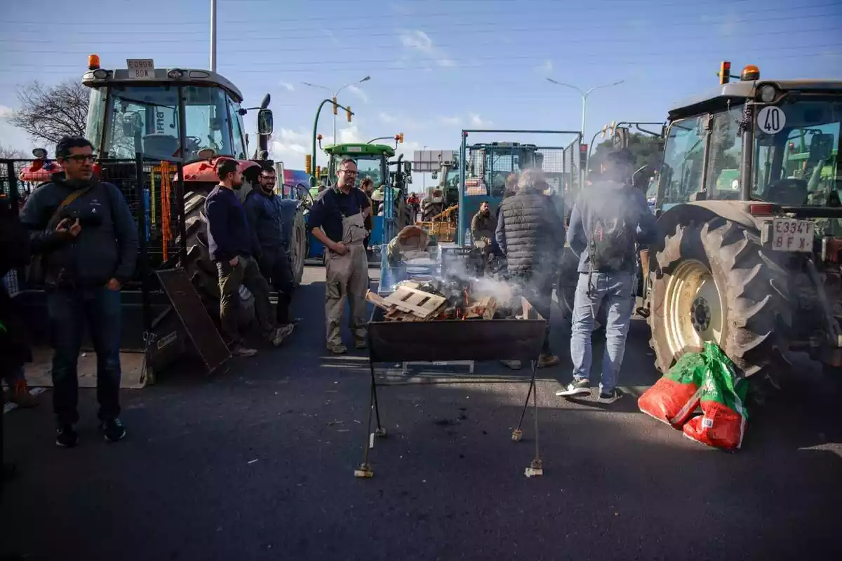 Agricultors i tractors durant una concentració a l'entrada de Mercabarna, a 13 de febrer de 2024