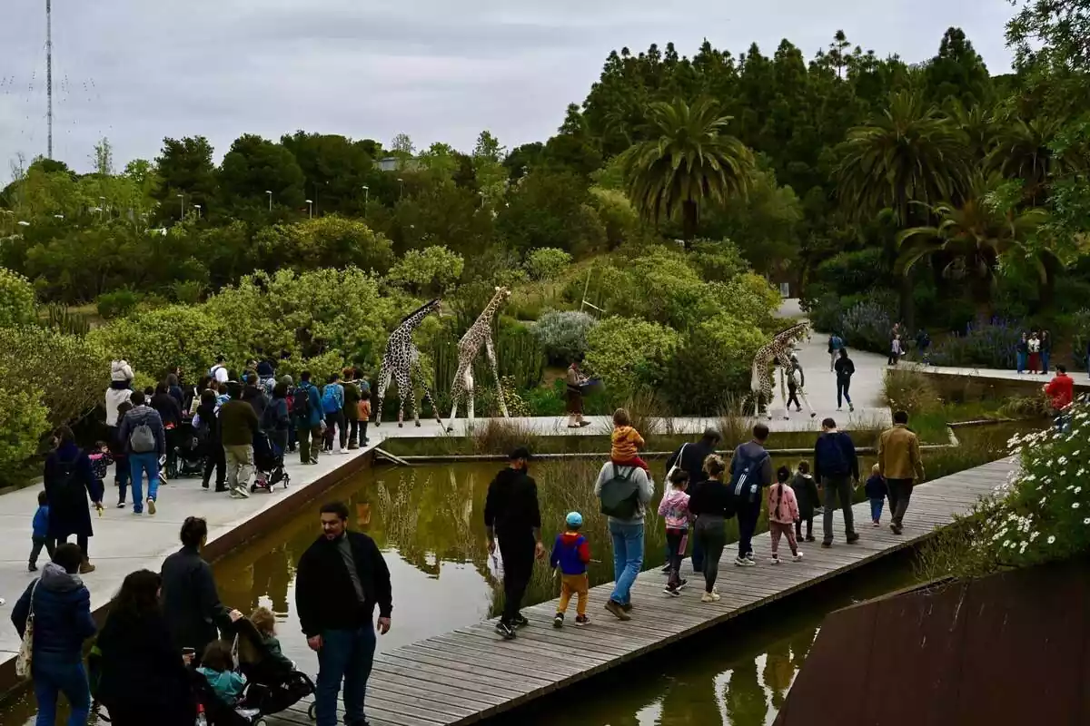 25è aniversari del Jardí Botànic de Barcelona