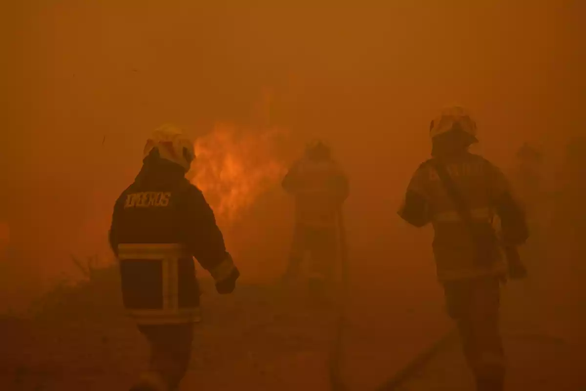 Bombers treballant per extingir l'incendi a Valparaíso, el mes de febrer de 2024 passat