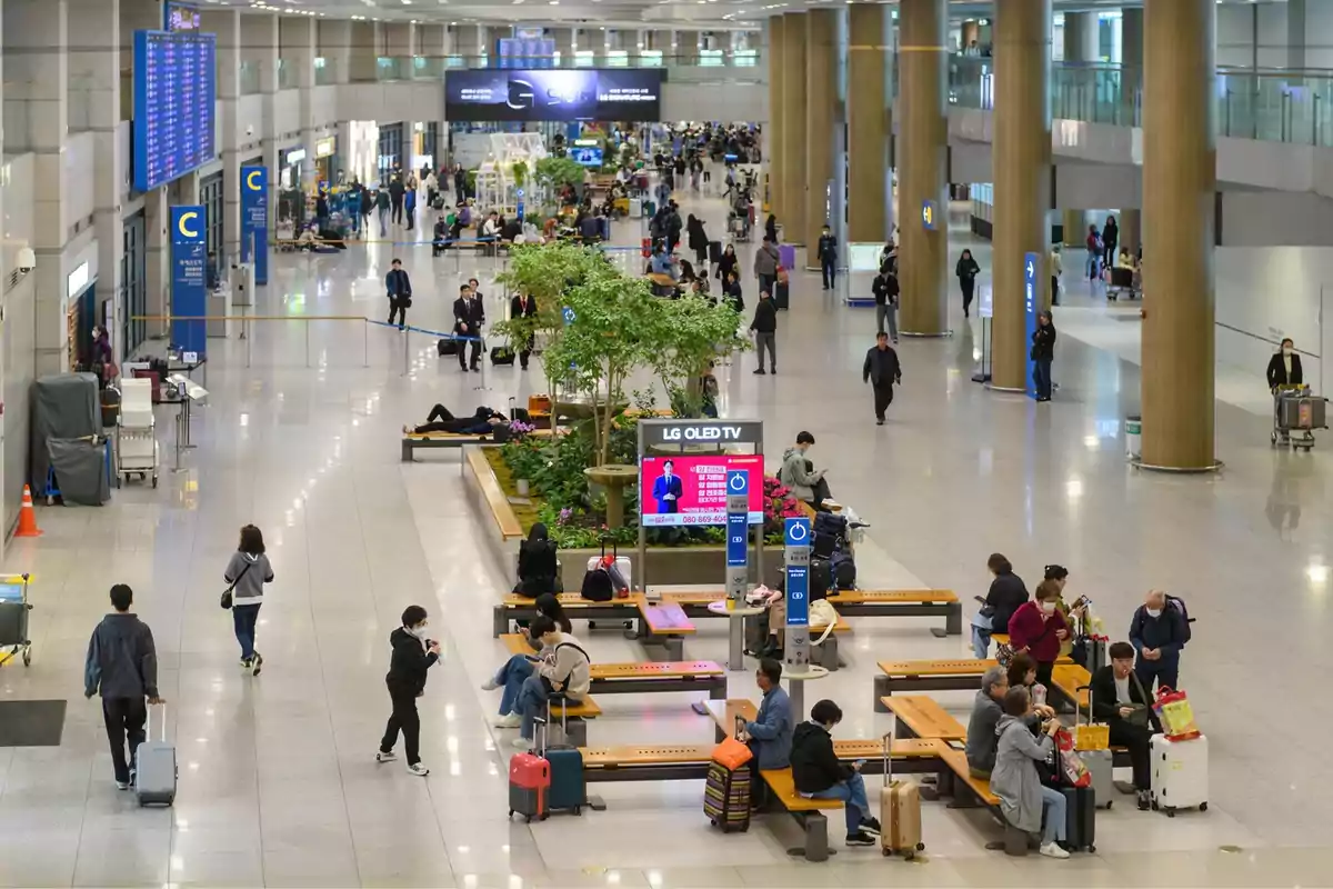 Persones caminant i esperant a un aeroport modern amb àrees de descans, pantalles d'informació i vegetació decorativa.