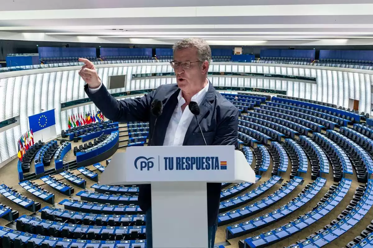 Feijóo - Parlament Europeu