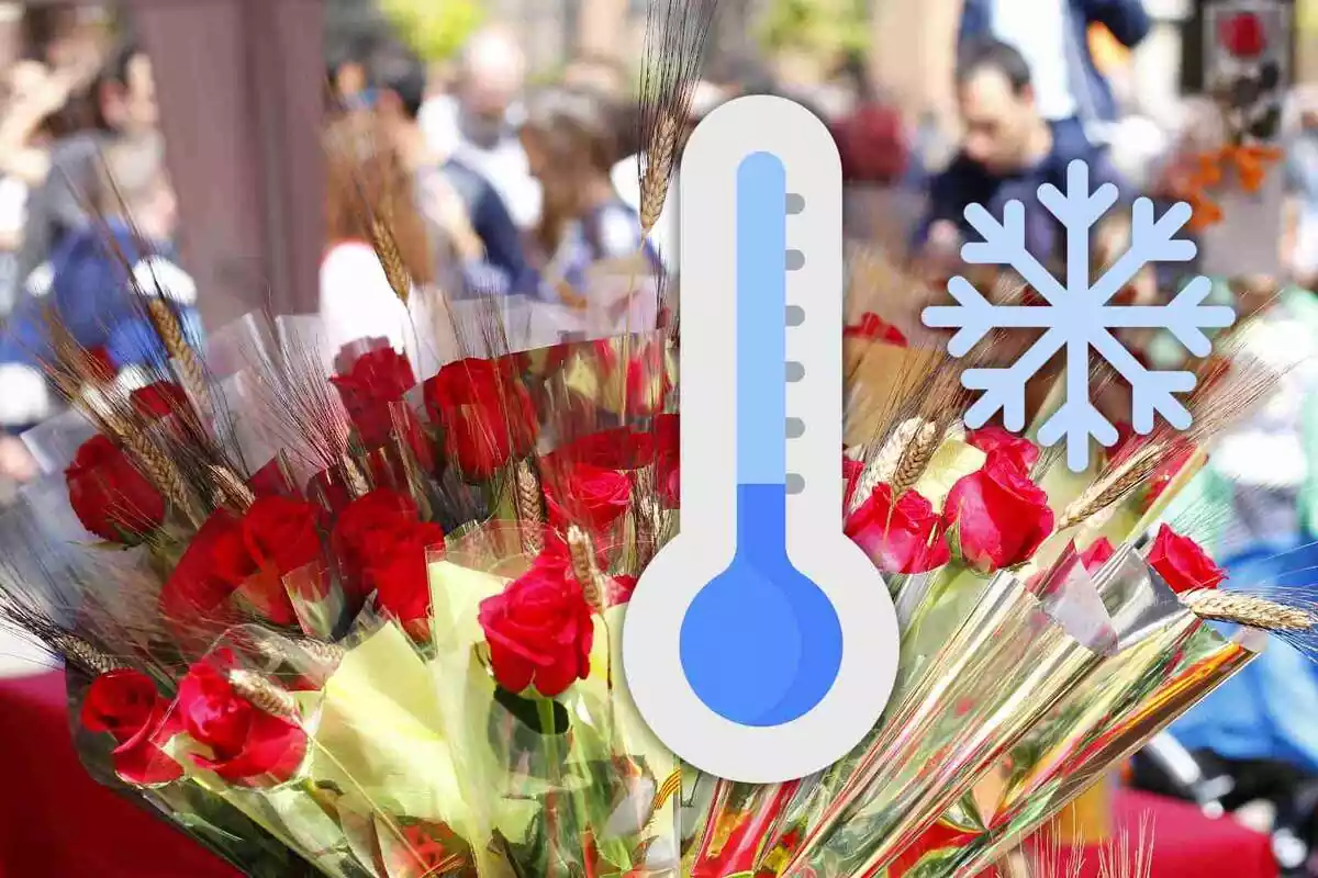 Roses en venda a Sant Jordi amb un termòmetre superposat