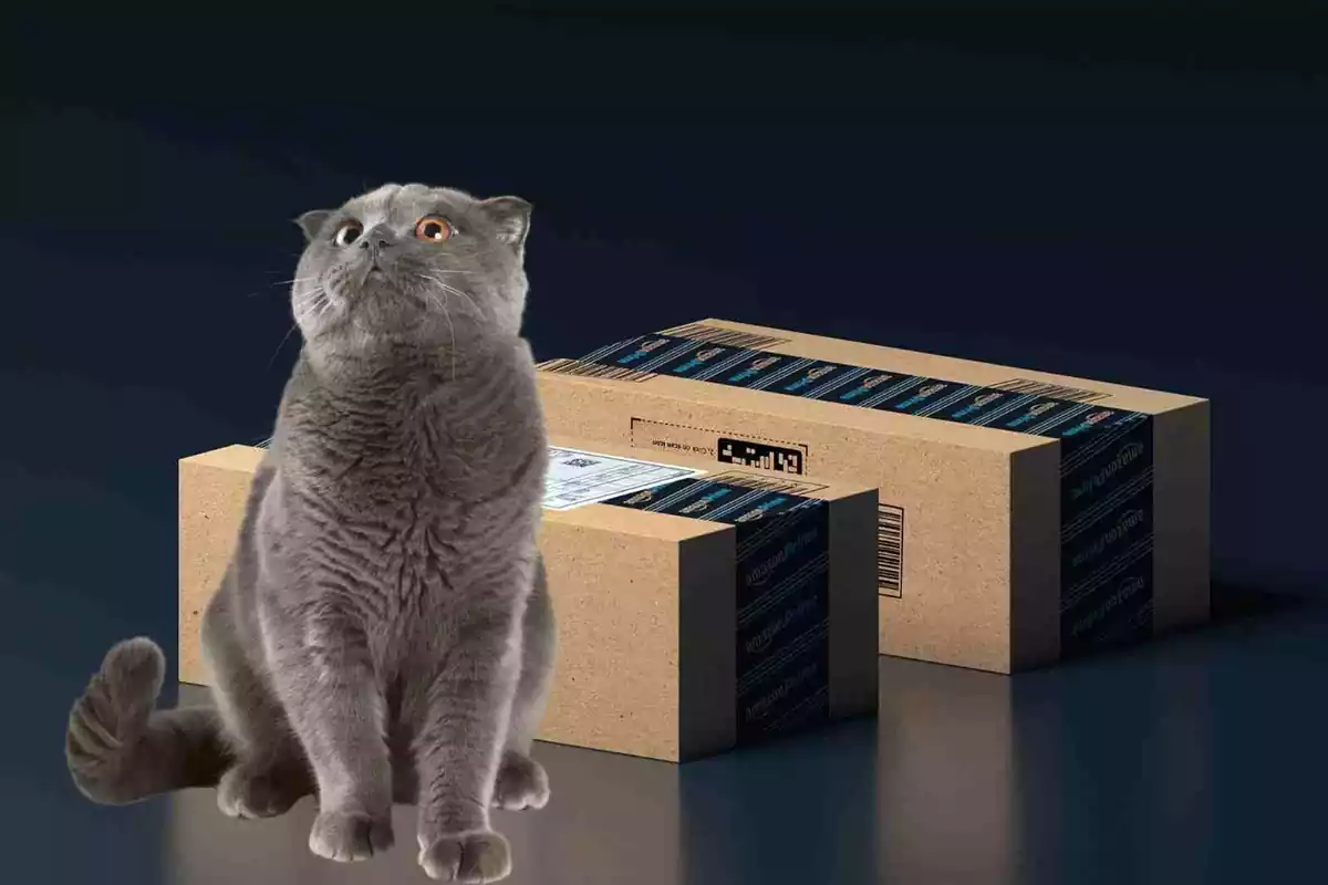 Un fotomuntatge d´un gat amb un paquet d´Amazon