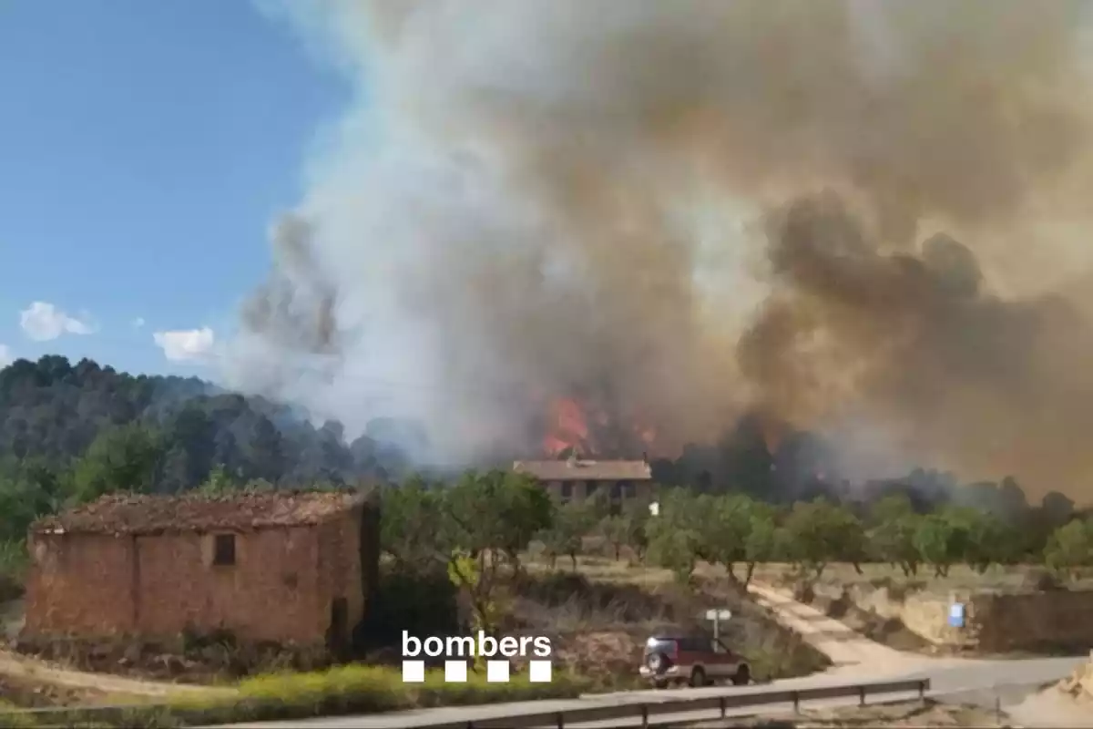 Imatge de l'incendi a Lledó