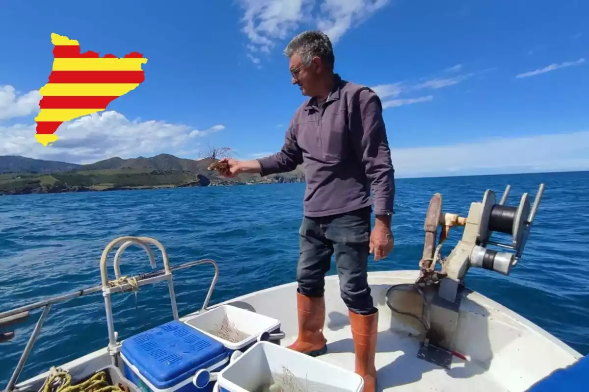 Life Ecorest amb un símbol de Catalunya