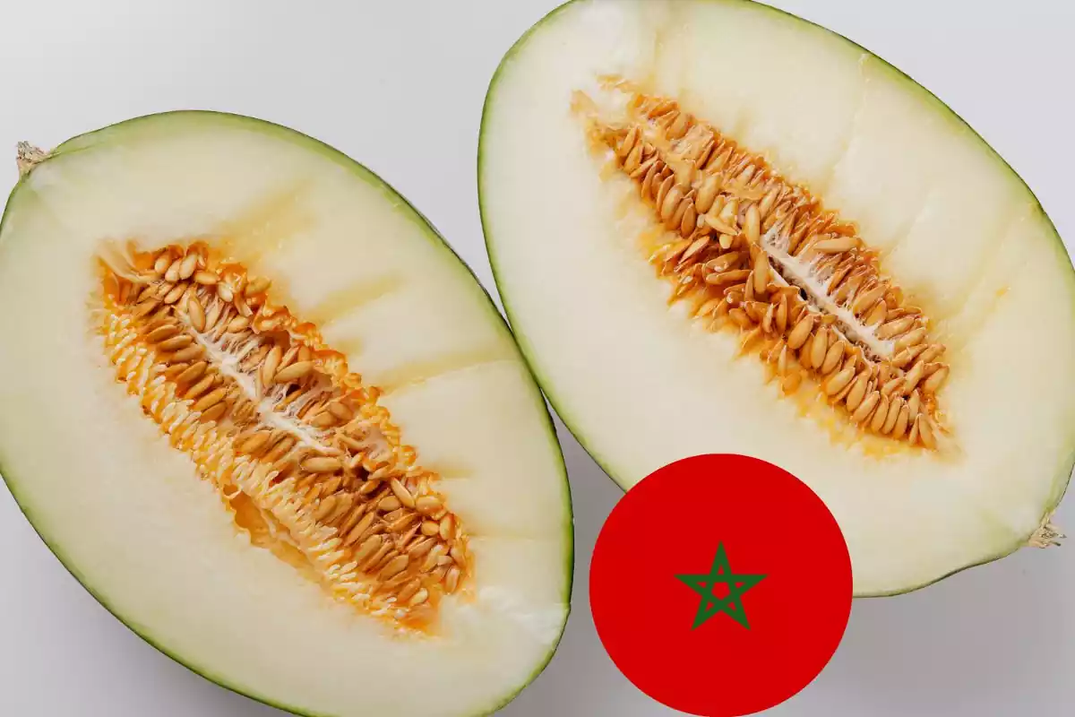 Melons amb una bandera del Marroc