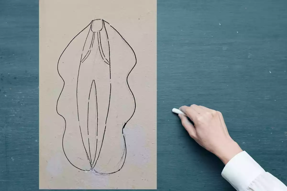 Pissarra amb una vulva dibuixada
