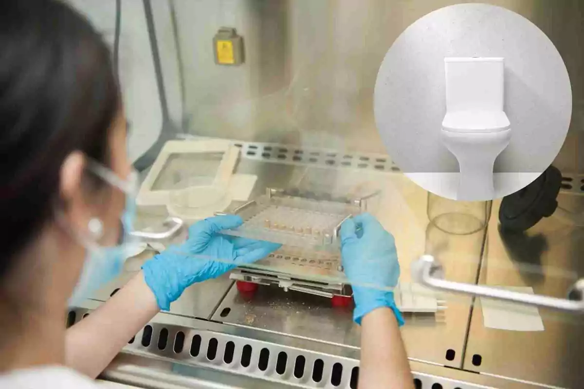 Persona amb guants blaus treballant en un laboratori amb una imatge d'un vàter superposat.