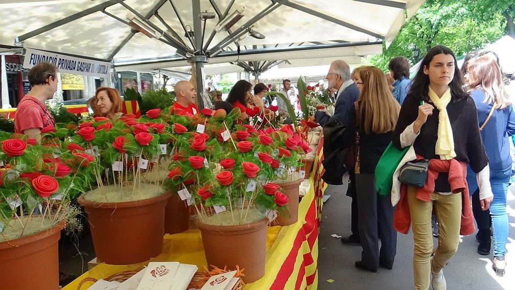 Rosas sant jordi 2018