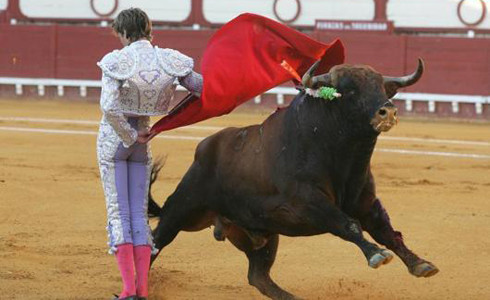 corregudes toros