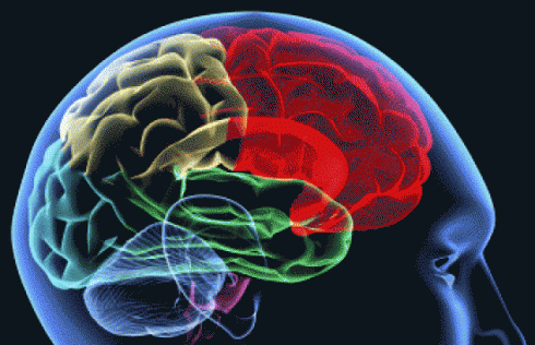 La deterioració cognitiva afecta entre un 20% i un 35% dels pacients amb esclerosi múltiple