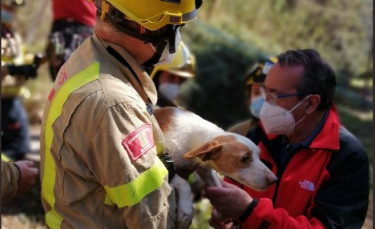 Rescatats 3 gossos dins d'un pou a Sant Boi de Llobregat