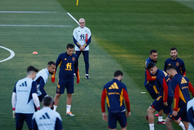 EuropaPress 5070734 luis fuente head coach during the training session of spain football team