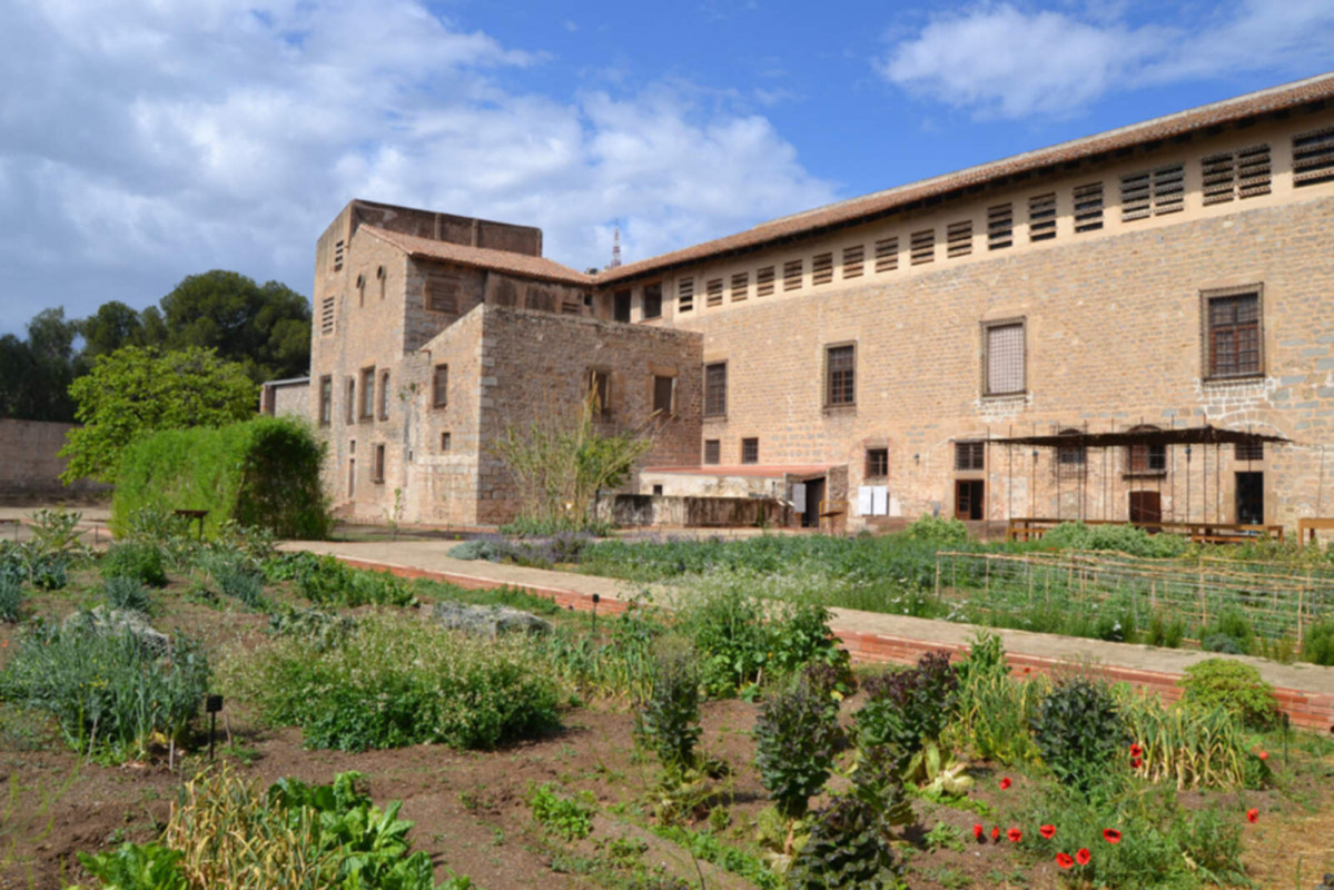 Europapress 5936270 huerto medieval real monasterio santa maria pedralbes barcelona 1600 1067