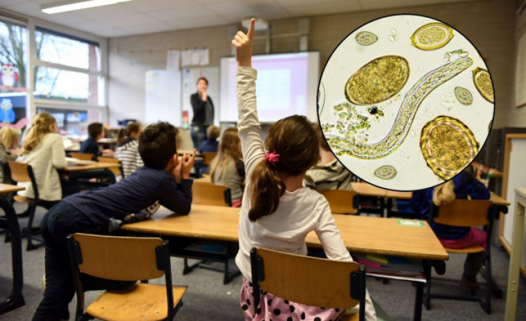 Moren dos nens de 5 i 6 anys per un brot de giardiasi a l'escola