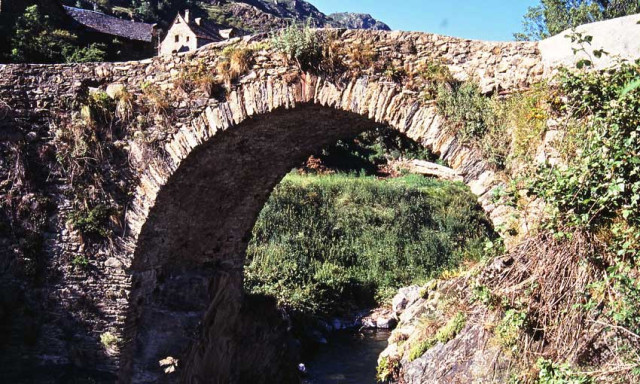 Catalunyapresscanfrancfesti12jul24