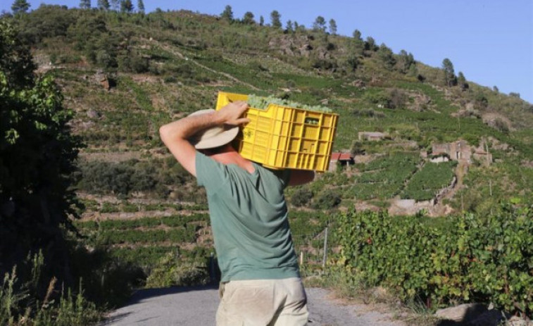 El crit d'auxili d'Unió de Pagesos: reclama ajudes per als agricultors afectats per sequera i gelades