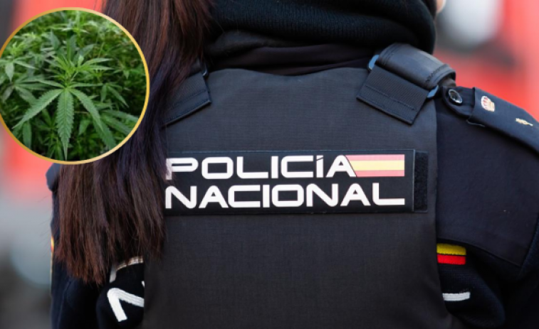 Desmantellada una banda que explotava persones obligant-les a treballar en plantacions de marihuana