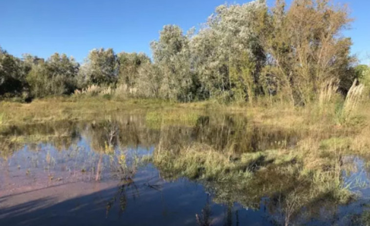 Foment exigeix la retirada de l'ampliació de la protecció del Delta del Llobregat