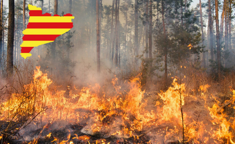 Catalunya afronta un elevat perill d'incendi forestal a partir de dimarts