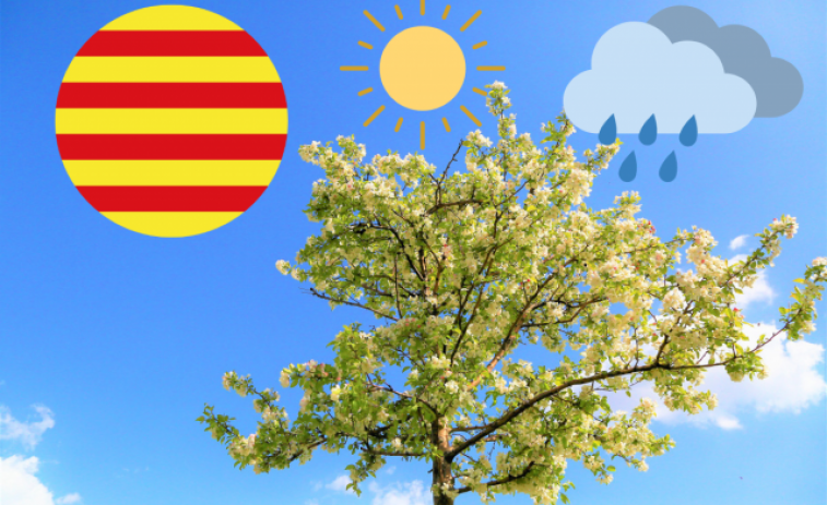 Previsió del temps a Catalunya: 6 d'agost, dia assolellat... amb tempestes localitzades