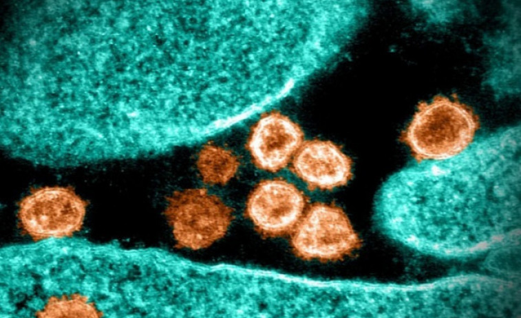 Es disparen els casos de Covid a tot el món: alerten del risc d'aparició de noves variants