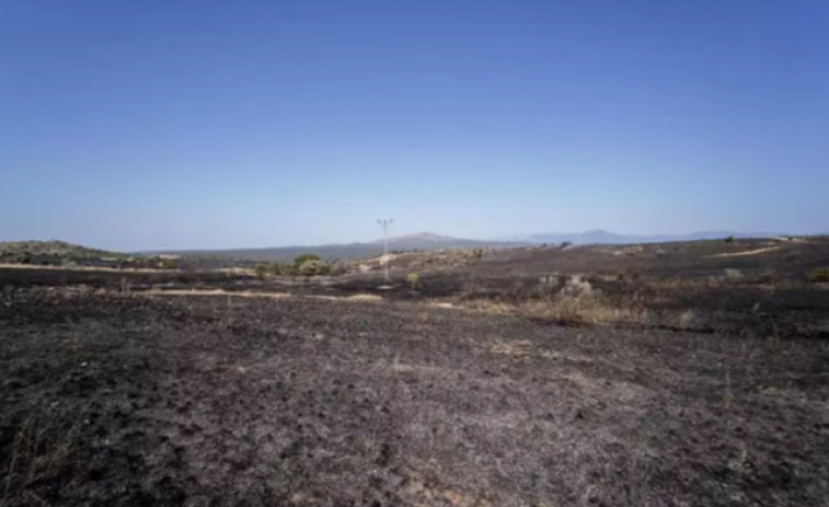 Quantes hectàrees han cremat els incendis forestals aquest 2024?