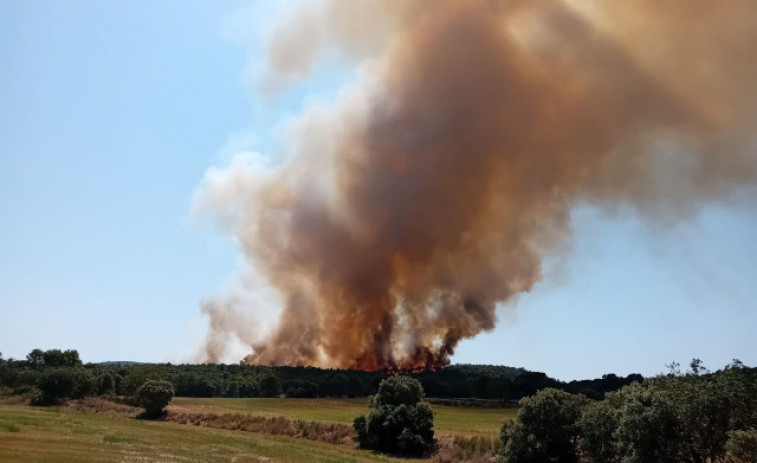 Risc elevat d'incendis a 70 municipis de Catalunya aquest dissabte