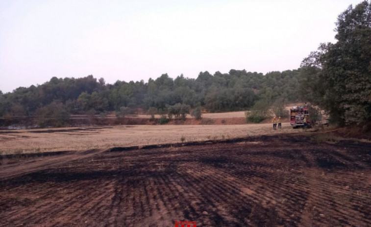 Els Bombers donen per extingit l'incendi de Baldomar (Lleida) que va calcinar 21 hectàrees