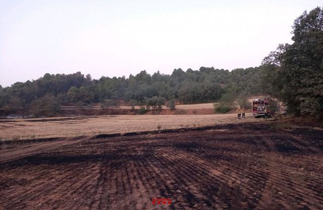 EuropaPress 6154552 terreno quemado incendio zonas agricolas forestales baldomar lleida 11