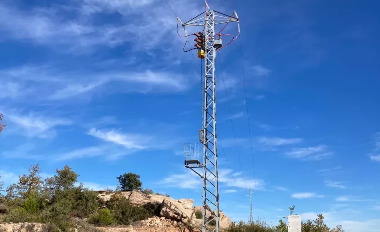 La Generalitat demana a Endesa mesures per evitar que les cigonyes morin electrocutades