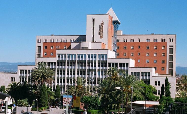 Detecten un brot de dengue autòcton a la zona de Tarragona