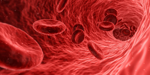 L'exposició a llum vermella disminueix el risc de coàguls sanguinis