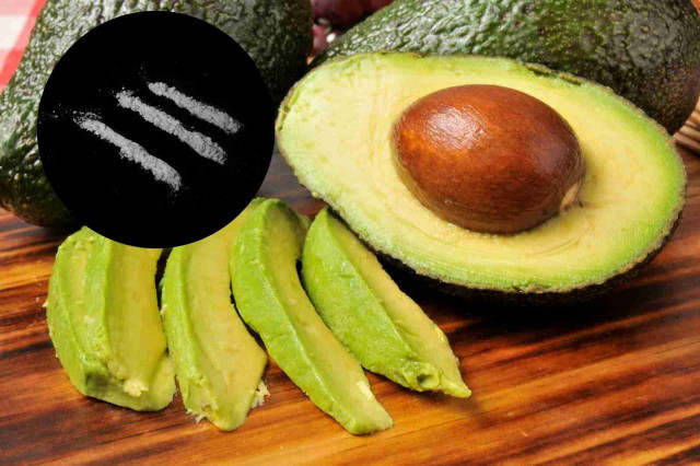 Aguacagtescocaina