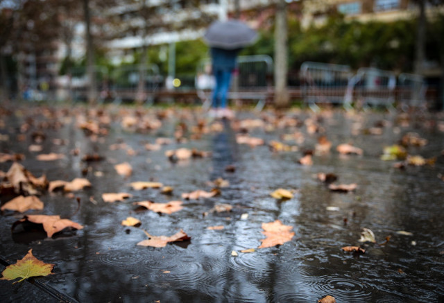 EuropaPress 4929809 varias hojas suelo causa lluvia 17 enero 2023 barcelona catalunya espana 1