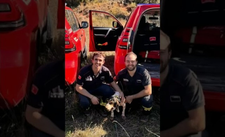 VÍDEO: Bombers rescaten una gossa a Alòs de Balaguer