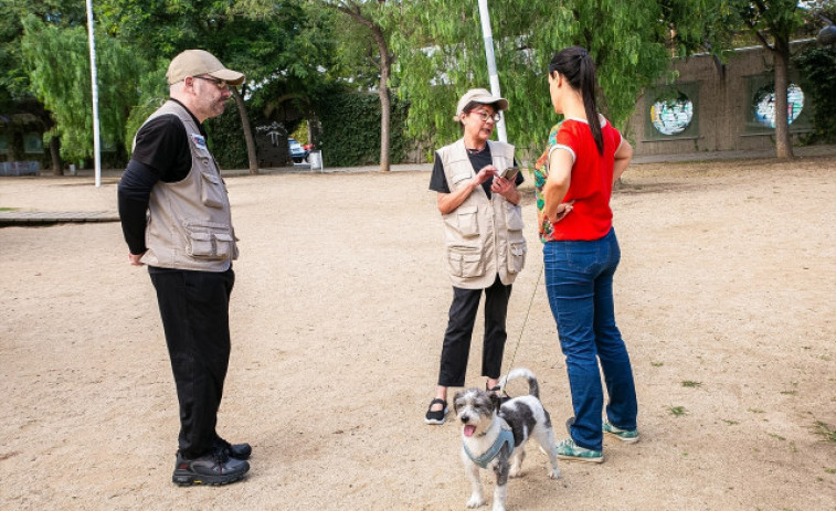 Barcelona repartirà bosses i ampolles a propietaris de gossos per netejar excrements i orins