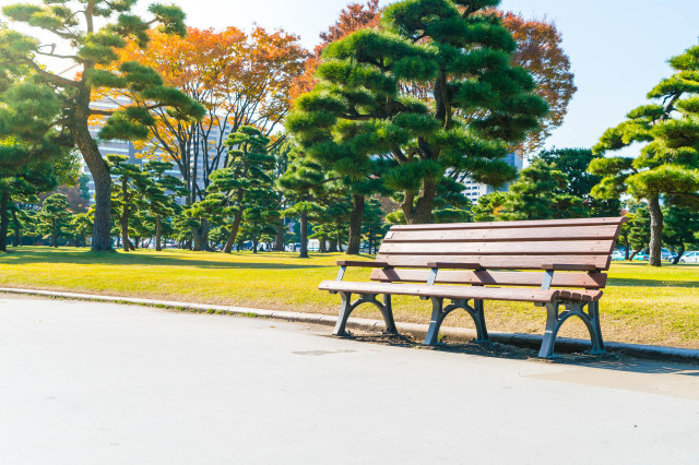 Benchautumnpark