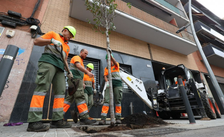 L’Hospitalet comença la plantació d’arbrat més gran de la seva història