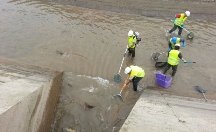 Endesa inicia el buidatge periòdic dels canals de Balaguer, Térmens, Lleida i Seròs