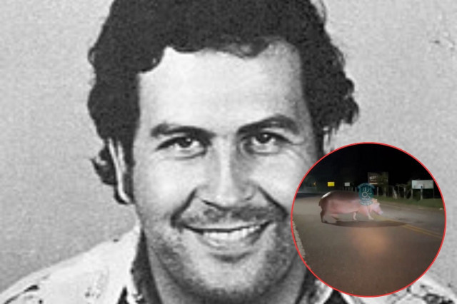 Pabloescobar