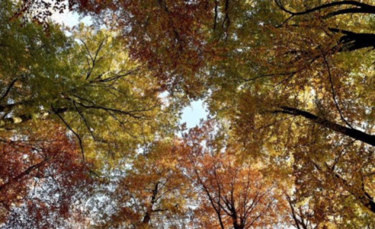 Previsió del temps a Catalunya: 14 d'octubre, dilluns de temps alterna i pluja amb fang